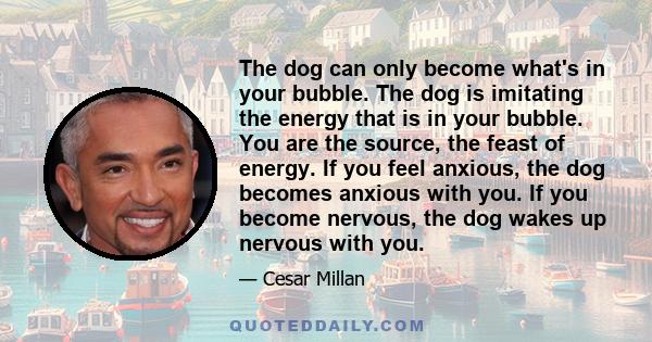 The dog can only become what's in your bubble. The dog is imitating the energy that is in your bubble. You are the source, the feast of energy. If you feel anxious, the dog becomes anxious with you. If you become