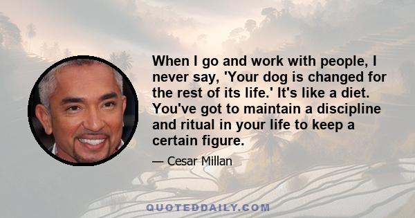 When I go and work with people, I never say, 'Your dog is changed for the rest of its life.' It's like a diet. You've got to maintain a discipline and ritual in your life to keep a certain figure.