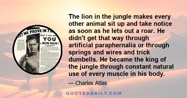 The lion in the jungle makes every other animal sit up and take notice as soon as he lets out a roar. He didn't get that way through artificial paraphernalia or through springs and wires and trick dumbells. He became