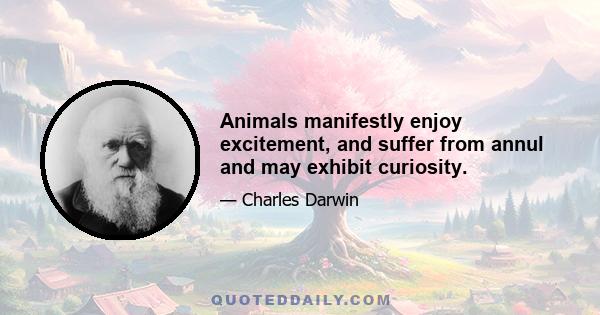 Animals manifestly enjoy excitement, and suffer from annul and may exhibit curiosity.