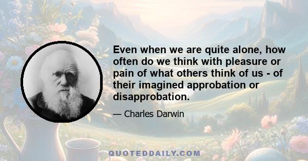 Even when we are quite alone, how often do we think with pleasure or pain of what others think of us - of their imagined approbation or disapprobation.