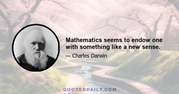 Mathematics seems to endow one with something like a new sense.