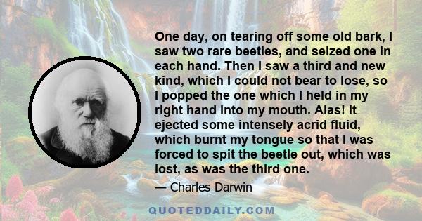 One day, on tearing off some old bark, I saw two rare beetles, and seized one in each hand. Then I saw a third and new kind, which I could not bear to lose, so I popped the one which I held in my right hand into my