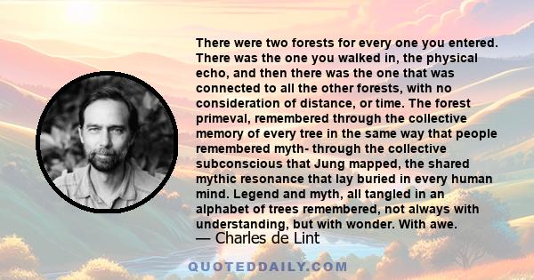 There were two forests for every one you entered. There was the one you walked in, the physical echo, and then there was the one that was connected to all the other forests, with no consideration of distance, or time.