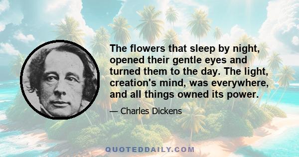 The flowers that sleep by night, opened their gentle eyes and turned them to the day. The light, creation's mind, was everywhere, and all things owned its power.