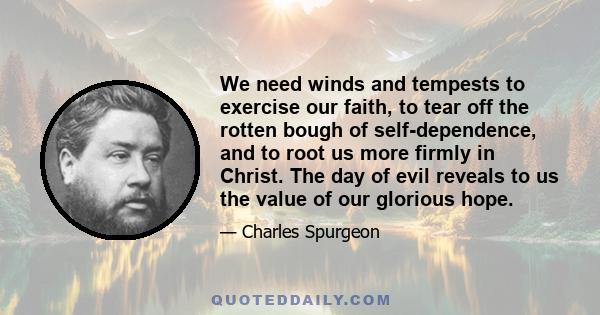 We need winds and tempests to exercise our faith, to tear off the rotten bough of self-dependence, and to root us more firmly in Christ. The day of evil reveals to us the value of our glorious hope.