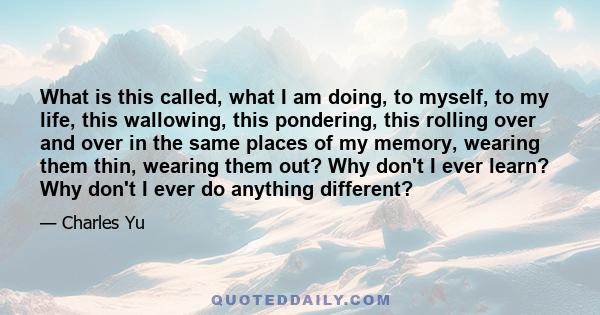 What is this called, what I am doing, to myself, to my life, this wallowing, this pondering, this rolling over and over in the same places of my memory, wearing them thin, wearing them out? Why don't I ever learn? Why