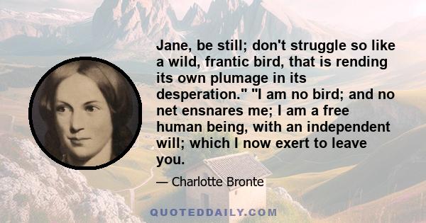 Jane, be still; don't struggle so like a wild, frantic bird, that is rending its own plumage in its desperation. I am no bird; and no net ensnares me; I am a free human being, with an independent will; which I now exert 