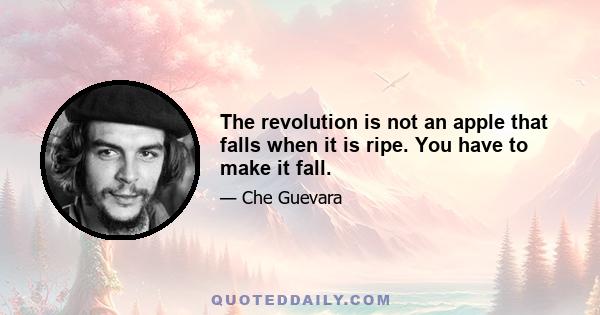 The revolution is not an apple that falls when it is ripe. You have to make it fall.