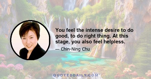 You feel the intense desire to do good, to do right thing. At this stage, you also feel helpless.