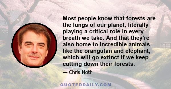 Most people know that forests are the lungs of our planet, literally playing a critical role in every breath we take. And that they're also home to incredible animals like the orangutan and elephant, which will go