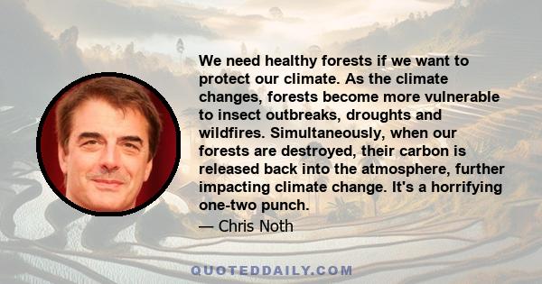 We need healthy forests if we want to protect our climate. As the climate changes, forests become more vulnerable to insect outbreaks, droughts and wildfires. Simultaneously, when our forests are destroyed, their carbon 