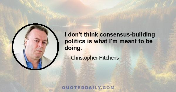 I don't think consensus-building politics is what I'm meant to be doing.