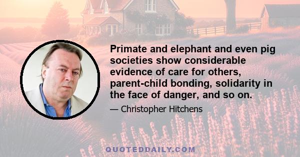 Primate and elephant and even pig societies show considerable evidence of care for others, parent-child bonding, solidarity in the face of danger, and so on.