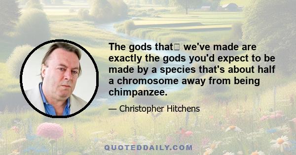 The gods that﻿ we've made are exactly the gods you'd expect to be made by a species that's about half a chromosome away from being chimpanzee.