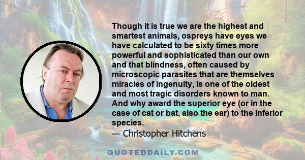 Though it is true we are the highest and smartest animals, ospreys have eyes we have calculated to be sixty times more powerful and sophisticated than our own and that blindness, often caused by microscopic parasites