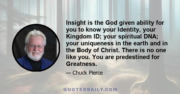 Insight is the God given ability for you to know your Identity, your Kingdom ID; your spiritual DNA; your uniqueness in the earth and in the Body of Christ. There is no one like you. You are predestined for Greatness.