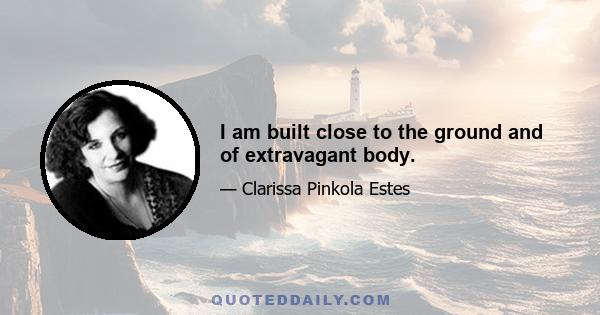 I am built close to the ground and of extravagant body.