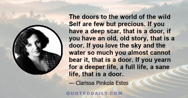 The doors to the world of the wild Self are few but precious. If you have a deep scar, that is a door, if you have an old, old story, that is a door. If you love the sky and the water so much you almost cannot bear it,