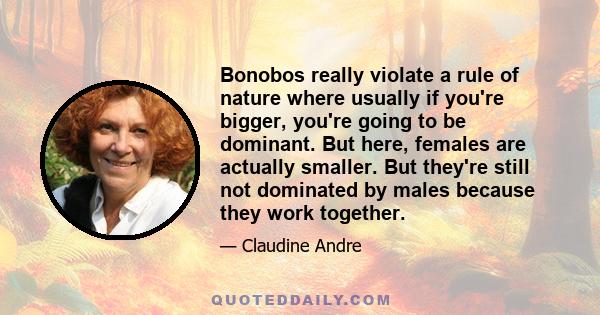 Bonobos really violate a rule of nature where usually if you're bigger, you're going to be dominant. But here, females are actually smaller. But they're still not dominated by males because they work together.