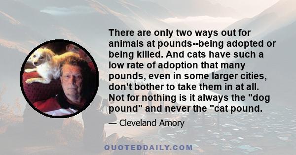 There are only two ways out for animals at pounds--being adopted or being killed. And cats have such a low rate of adoption that many pounds, even in some larger cities, don't bother to take them in at all. Not for