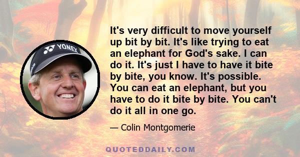 It's very difficult to move yourself up bit by bit. It's like trying to eat an elephant for God's sake. I can do it. It's just I have to have it bite by bite, you know. It's possible. You can eat an elephant, but you