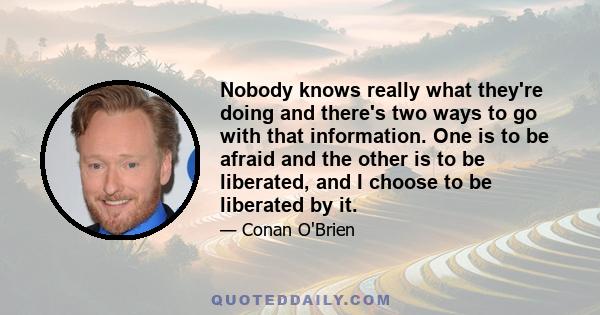 Nobody knows really what they're doing and there's two ways to go with that information. One is to be afraid and the other is to be liberated, and I choose to be liberated by it.