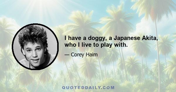 I have a doggy, a Japanese Akita, who I live to play with.