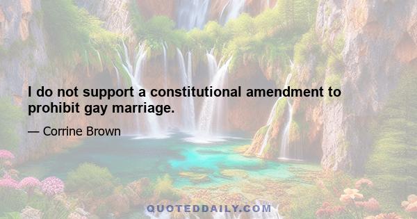 I do not support a constitutional amendment to prohibit gay marriage.