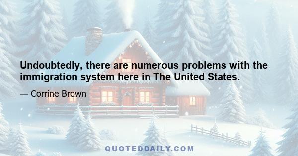 Undoubtedly, there are numerous problems with the immigration system here in The United States.