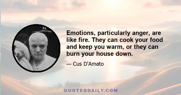 Emotions, particularly anger, are like fire. They can cook your food and keep you warm, or they can burn your house down.