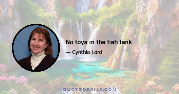 No toys in the fish tank