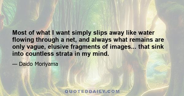 Most of what I want simply slips away like water flowing through a net, and always what remains are only vague, elusive fragments of images... that sink into countless strata in my mind.