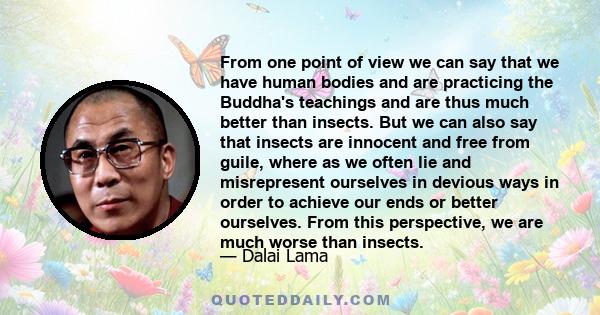 From one point of view we can say that we have human bodies and are practicing the Buddha's teachings and are thus much better than insects. But we can also say that insects are innocent and free from guile, where as we 