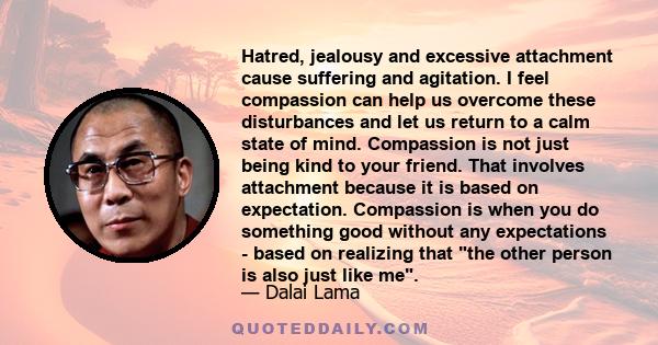 Hatred, jealousy and excessive attachment cause suffering and agitation. I feel compassion can help us overcome these disturbances and let us return to a calm state of mind. Compassion is not just being kind to your