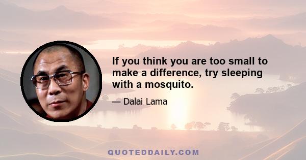 If you think you are too small to make a difference, try sleeping with a mosquito.