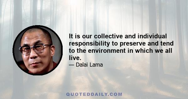 It is our collective and individual responsibility to preserve and tend to the environment in which we all live.