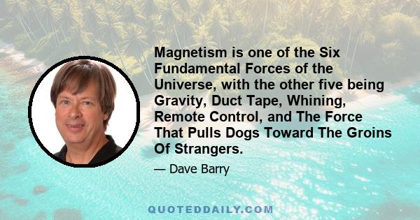 Magnetism is one of the Six Fundamental Forces of the Universe, with the other five being Gravity, Duct Tape, Whining, Remote Control, and The Force That Pulls Dogs Toward The Groins Of Strangers.