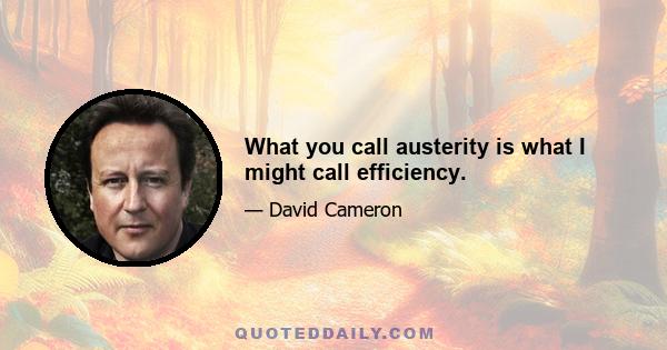 What you call austerity is what I might call efficiency.