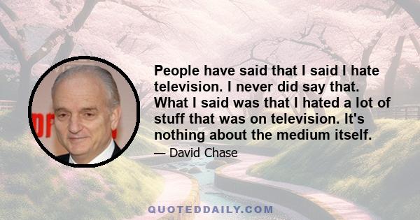 People have said that I said I hate television. I never did say that. What I said was that I hated a lot of stuff that was on television. It's nothing about the medium itself.