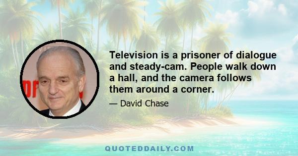 Television is a prisoner of dialogue and steady-cam. People walk down a hall, and the camera follows them around a corner.