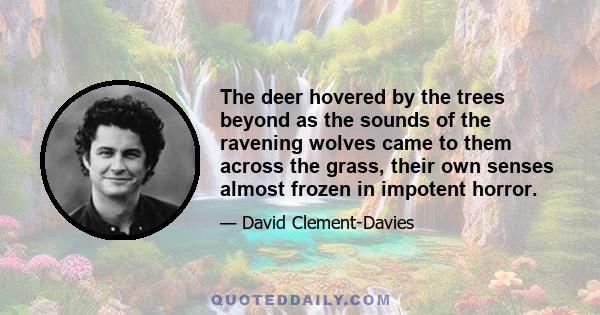 The deer hovered by the trees beyond as the sounds of the ravening wolves came to them across the grass, their own senses almost frozen in impotent horror.