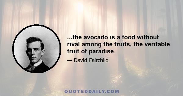 ...the avocado is a food without rival among the fruits, the veritable fruit of paradise