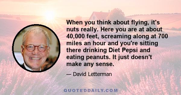 When you think about flying, it's nuts really. Here you are at about 40,000 feet, screaming along at 700 miles an hour and you're sitting there drinking Diet Pepsi and eating peanuts. It just doesn't make any sense.