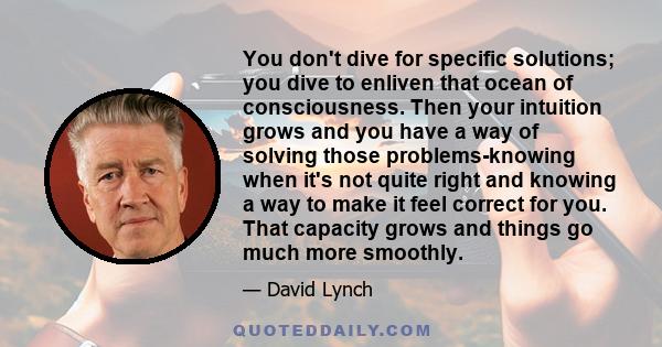 You don't dive for specific solutions; you dive to enliven that ocean of consciousness. Then your intuition grows and you have a way of solving those problems-knowing when it's not quite right and knowing a way to make