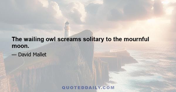 The wailing owl screams solitary to the mournful moon.