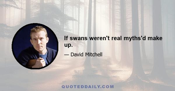 If swans weren't real myths'd make up.