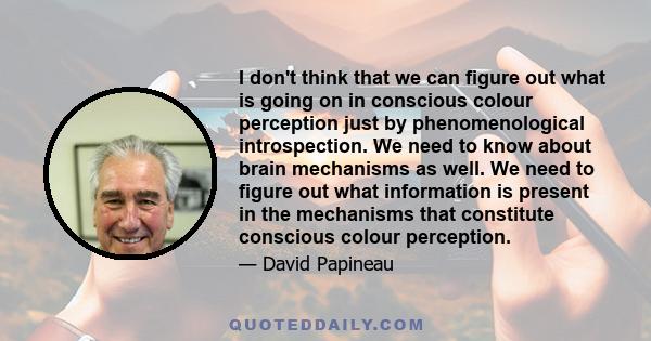 I don't think that we can figure out what is going on in conscious colour perception just by phenomenological introspection. We need to know about brain mechanisms as well. We need to figure out what information is