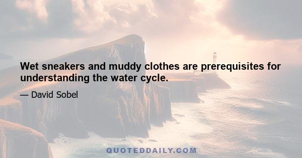 Wet sneakers and muddy clothes are prerequisites for understanding the water cycle.