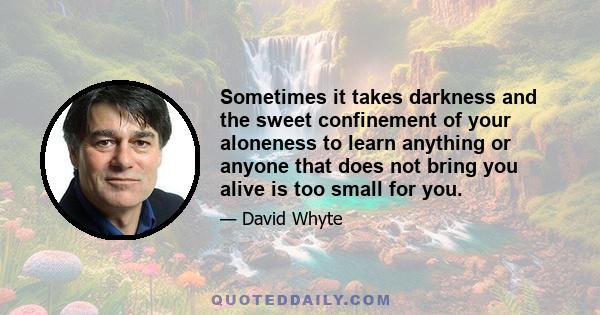 Sometimes it takes darkness and the sweet confinement of your aloneness to learn anything or anyone that does not bring you alive is too small for you.